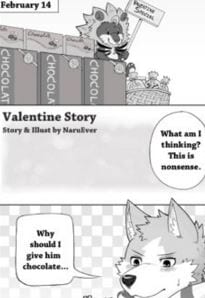 Valentine Story