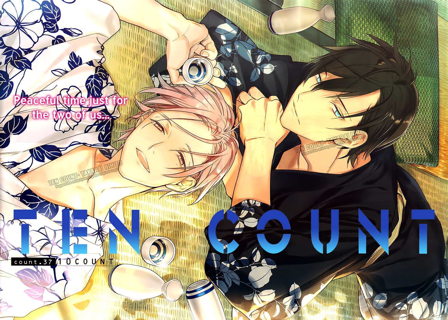 Ten Count By Takarai Rihito Vol 05 Eng Updated